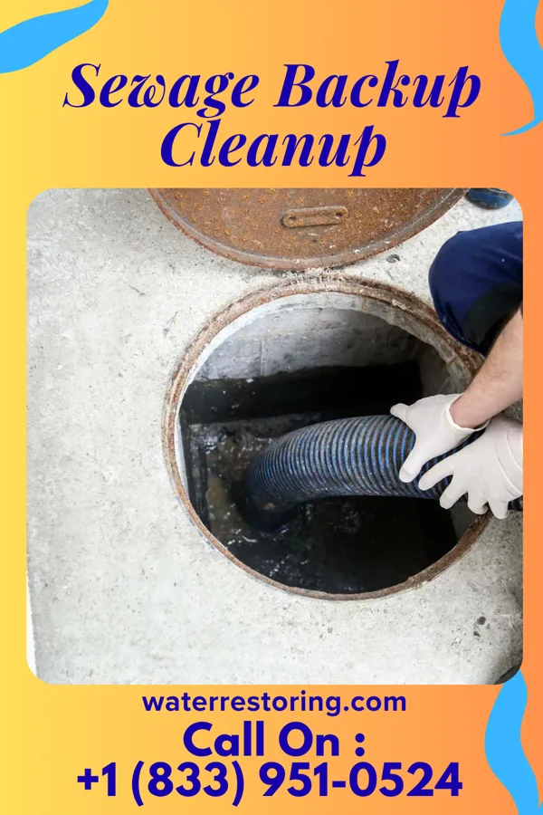 Sewage Backup Cleanup in Melvin, IA